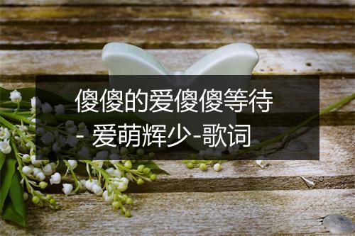 傻傻的爱傻傻等待 - 爱萌辉少-歌词