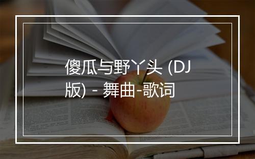 傻瓜与野丫头 (DJ版) - 舞曲-歌词