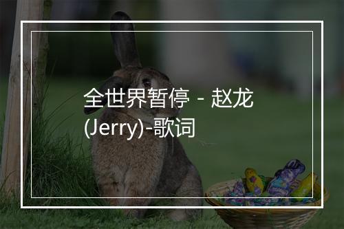 全世界暂停 - 赵龙 (Jerry)-歌词