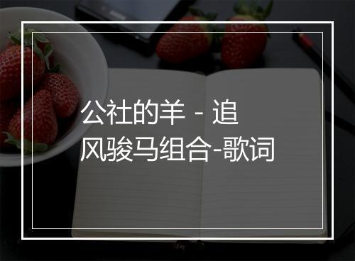 公社的羊 - 追风骏马组合-歌词