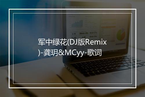 军中绿花(DJ版Remix)-龚玥&MCyy-歌词