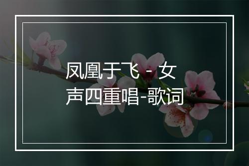 凤凰于飞 - 女声四重唱-歌词