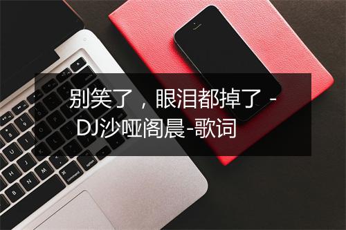 别笑了，眼泪都掉了 - DJ沙哑阁晨-歌词