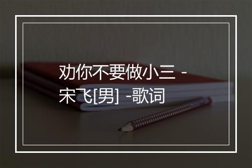 劝你不要做小三 - 宋飞[男] -歌词