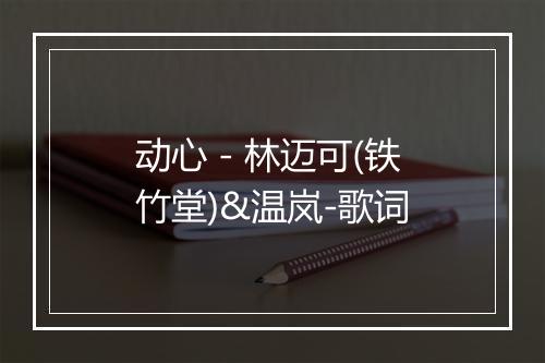 动心 - 林迈可(铁竹堂)&温岚-歌词