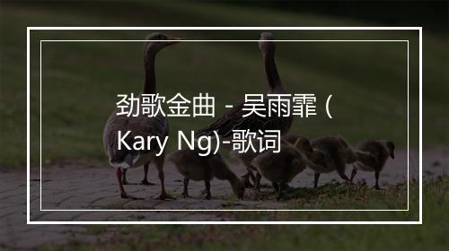 劲歌金曲 - 吴雨霏 (Kary Ng)-歌词