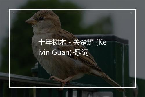 十年树木 - 关楚耀 (Kelvin Guan)-歌词