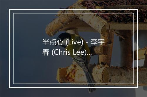 半点心 (Live) - 李宇春 (Chris Lee)-歌词