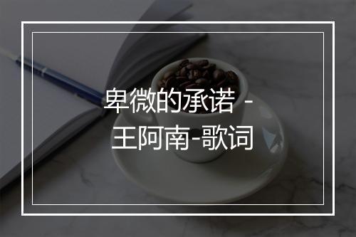 卑微的承诺 - 王阿南-歌词