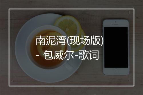 南泥湾(现场版) - 包威尔-歌词