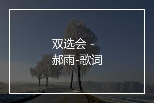 双选会 - 郝雨-歌词