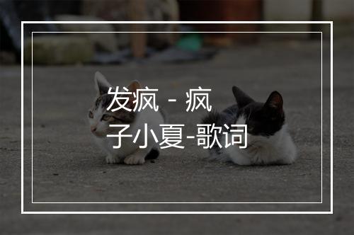 发疯 - 疯子小夏-歌词