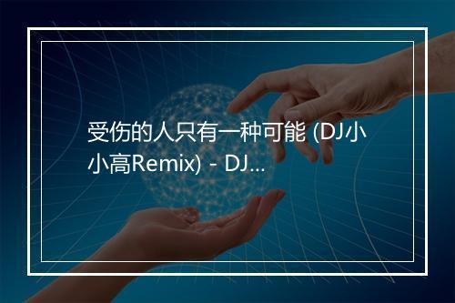 受伤的人只有一种可能 (DJ小小高Remix) - DJ-歌词