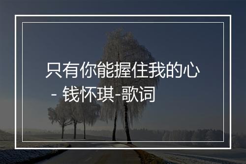 只有你能握住我的心 - 钱怀琪-歌词