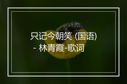 只记今朝笑 (国语) - 林青霞-歌词