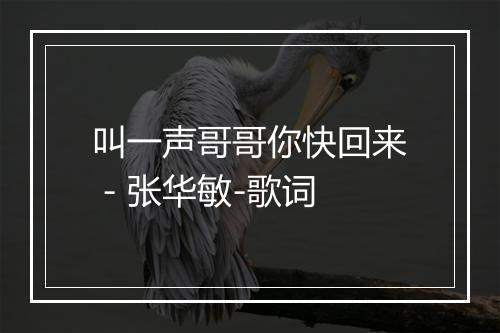 叫一声哥哥你快回来 - 张华敏-歌词