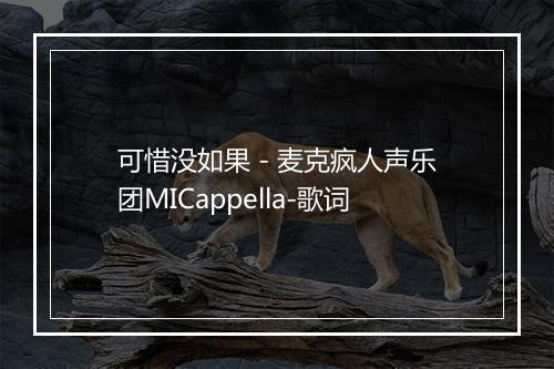 可惜没如果 - 麦克疯人声乐团MICappella-歌词