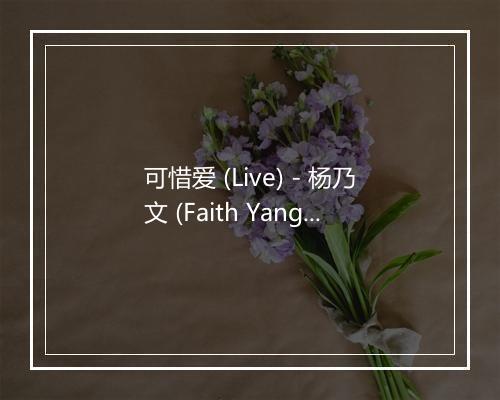 可惜爱 (Live) - 杨乃文 (Faith Yang)-歌词