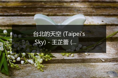 台北的天空 (Taipei's Sky) - 王芷蕾 (Jeanette Wang)-歌词