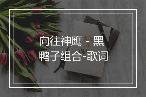 向往神鹰 - 黑鸭子组合-歌词