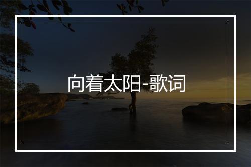 向着太阳-歌词