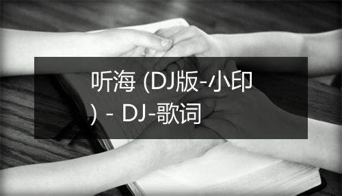 听海 (DJ版-小印) - DJ-歌词