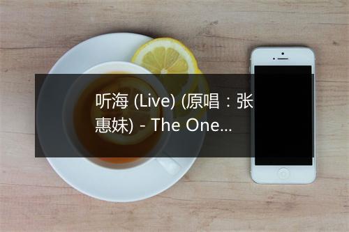 听海 (Live) (原唱：张惠妹) - The One (더원)-歌词