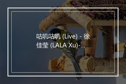 咕叽咕叽 (Live) - 徐佳莹 (LALA Xu)-歌词