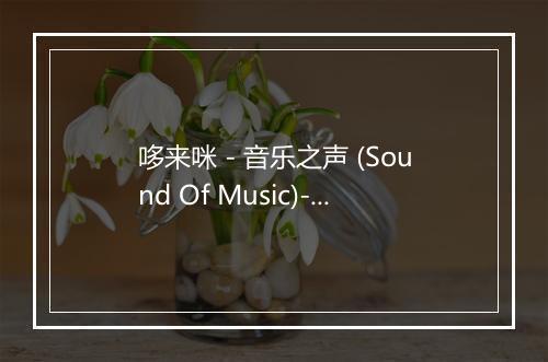 哆来咪 - 音乐之声 (Sound Of Music)-歌词