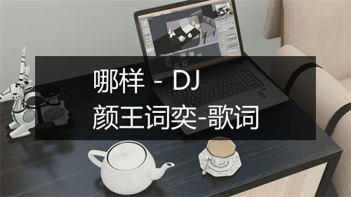 哪样 - DJ颜王词奕-歌词