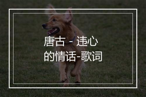 唐古 - 违心的情话-歌词