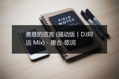 善意的谎言 (骚动版丨DJ阿远 Mix) - 唐古-歌词