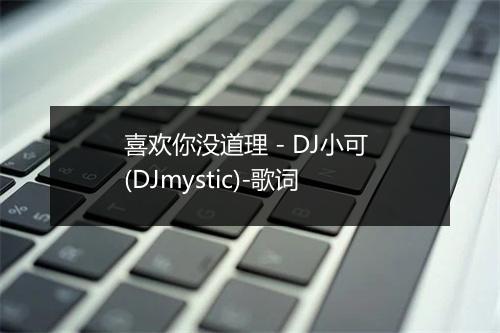 喜欢你没道理 - DJ小可 (DJmystic)-歌词