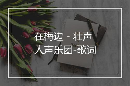 在梅边 - 壮声人声乐团-歌词