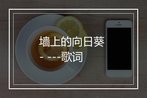 墙上的向日葵 - ---歌词