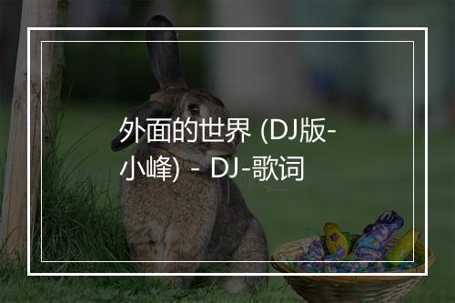 外面的世界 (DJ版-小峰) - DJ-歌词