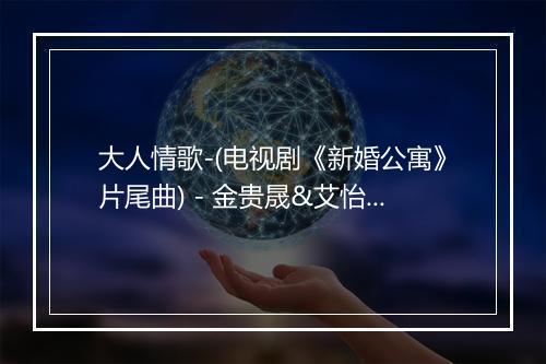 大人情歌-(电视剧《新婚公寓》片尾曲) - 金贵晟&艾怡良-歌词