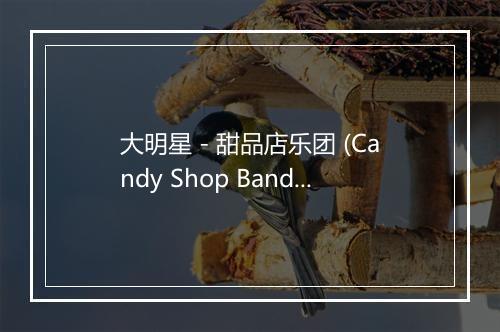 大明星 - 甜品店乐团 (Candy Shop Band)-歌词