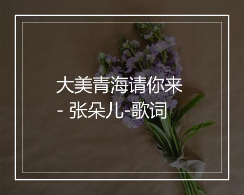 大美青海请你来 - 张朵儿-歌词