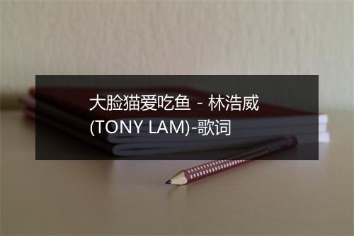 大脸猫爱吃鱼 - 林浩威 (TONY LAM)-歌词