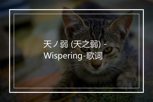 天ノ弱 (天之弱) - Wispering-歌词