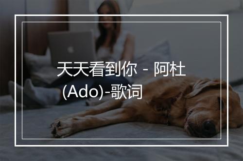 天天看到你 - 阿杜 (Ado)-歌词