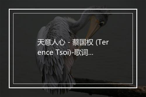 天意人心 - 蔡国权 (Terence Tsoi)-歌词_1