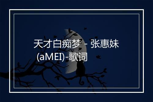 天才白痴梦 - 张惠妹 (aMEI)-歌词