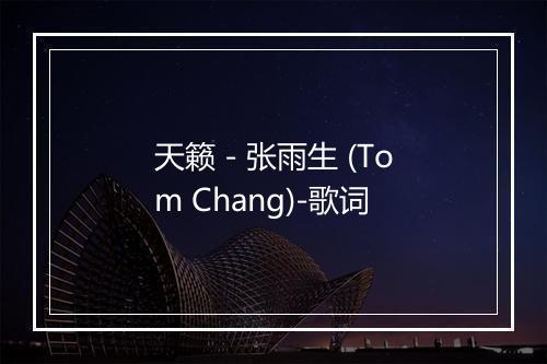 天籁 - 张雨生 (Tom Chang)-歌词