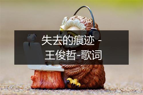 失去的痕迹 - 王俊哲-歌词