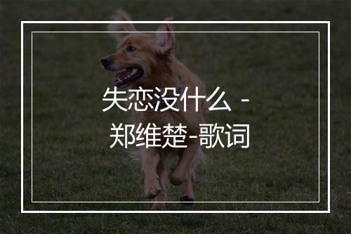 失恋没什么 - 郑维楚-歌词