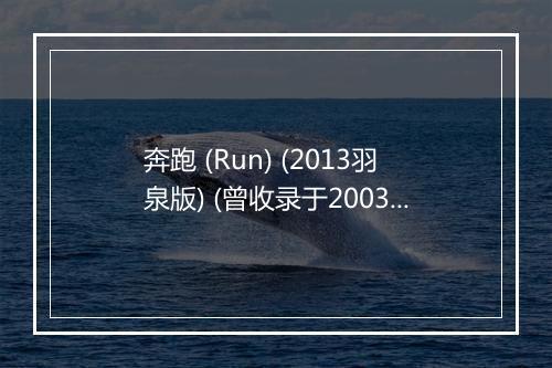 奔跑 (Run) (2013羽泉版) (曾收录于2003年发行的《爱情诺曼底》专辑) - 羽泉-歌词