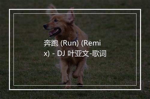 奔跑 (Run) (Remix) - DJ 叶亚文-歌词