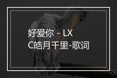 好爱你 - LXC皓月千里-歌词